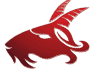 Newsquest Shared: Capricorn Newsquest Shared: Capricorn